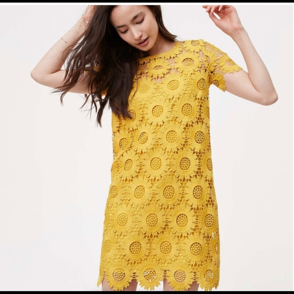 LOFT Yellow Daisy Shift Lace Dress size 8